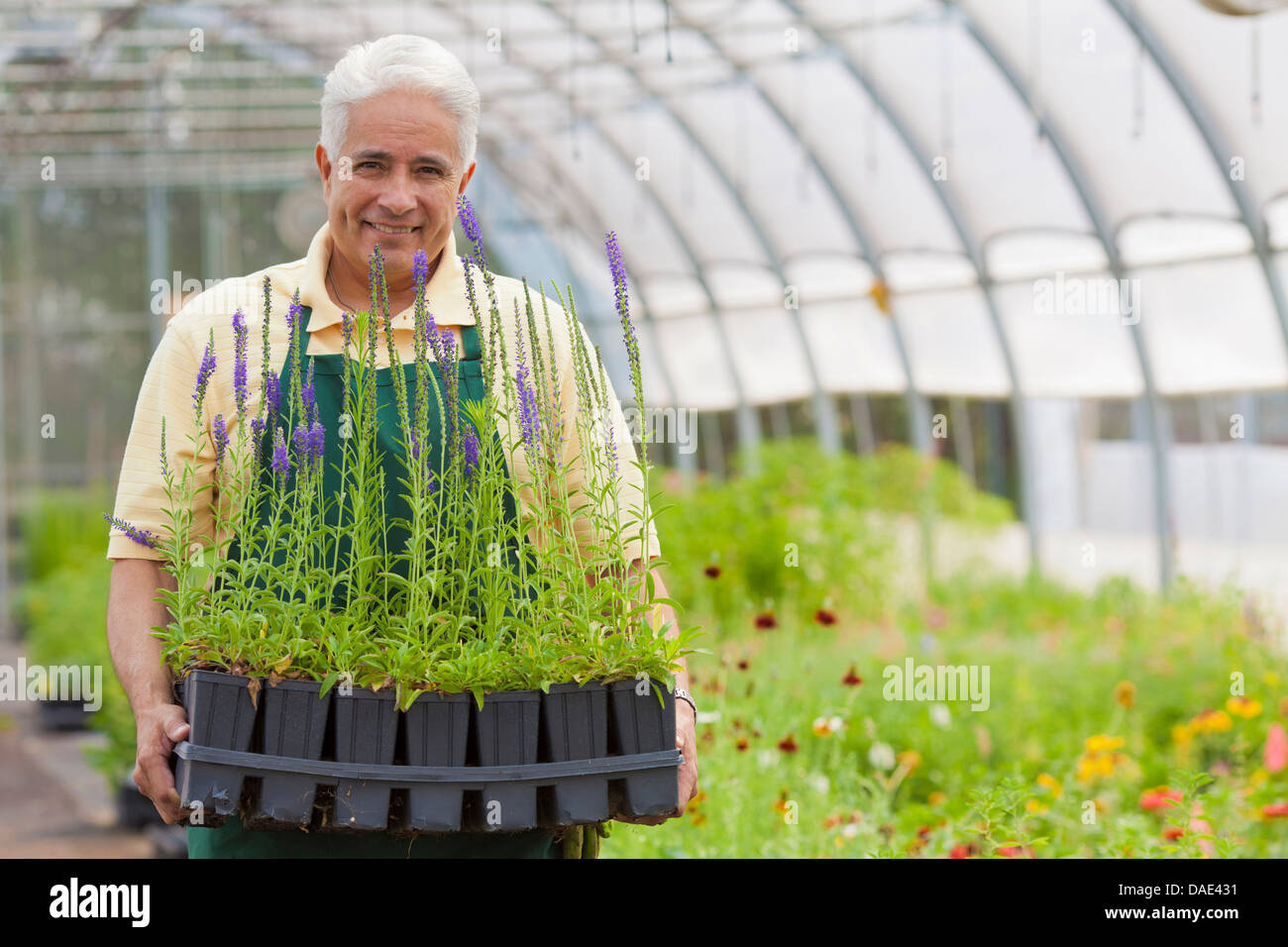 Old man at garden centre hi-res stock photography and images - Alamy