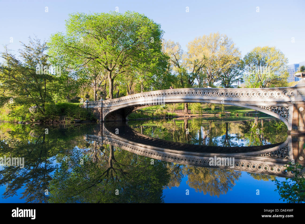 Bridge in Central Park, New York City, USA Stock Photo Alamy
