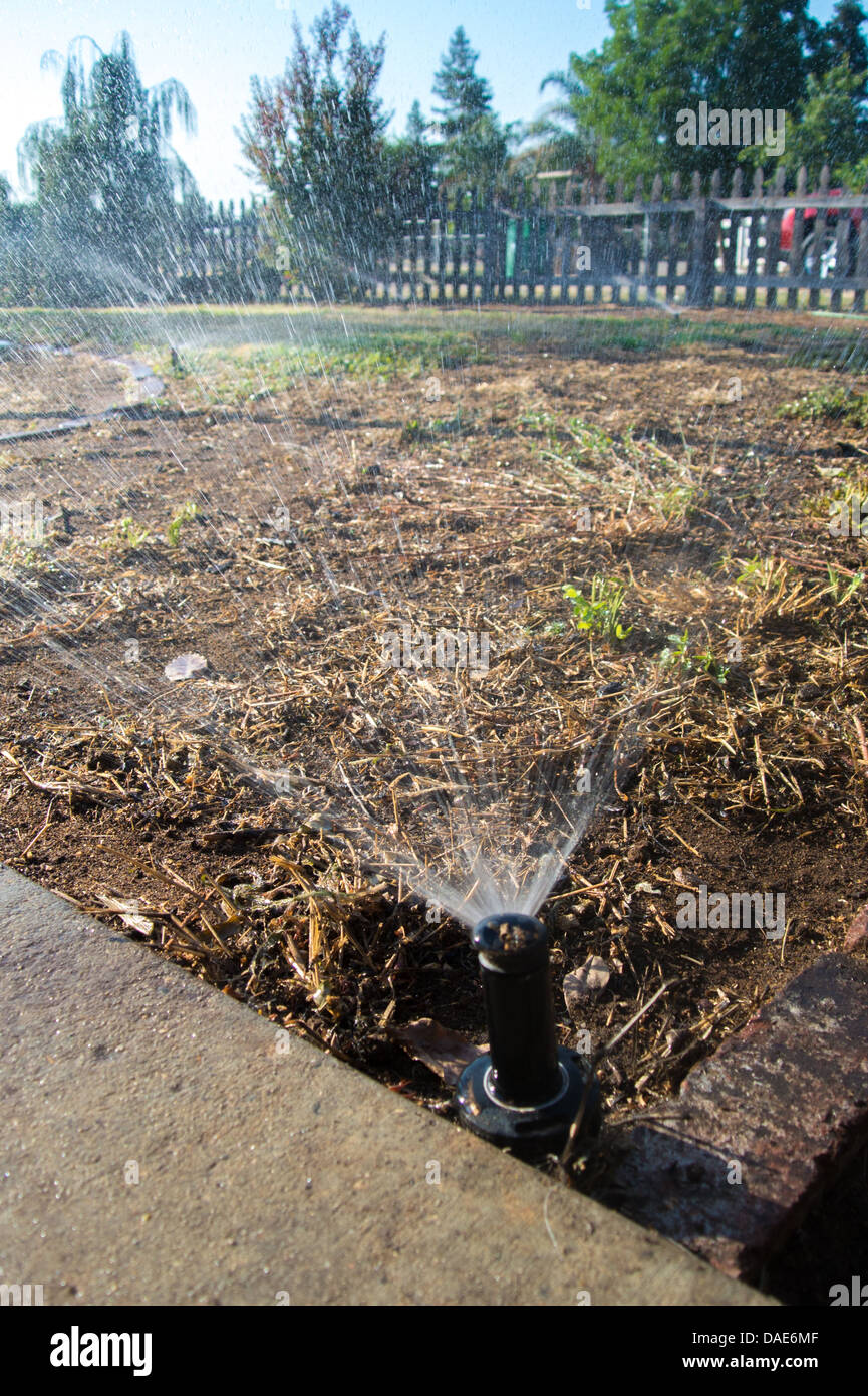Sprinkler house hires stock photography and images Alamy