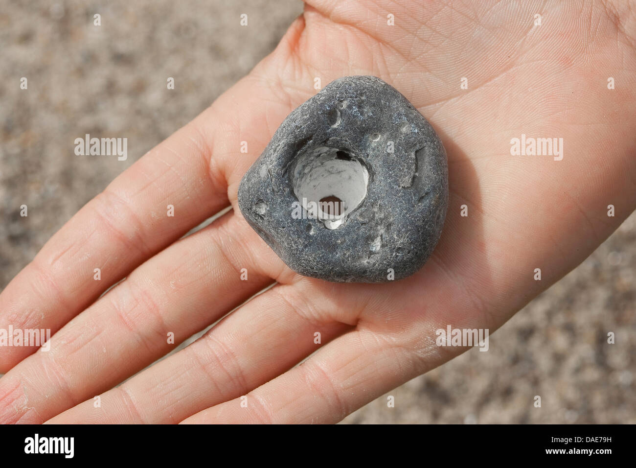 adder stone with naturally occurring hole Stock Photo