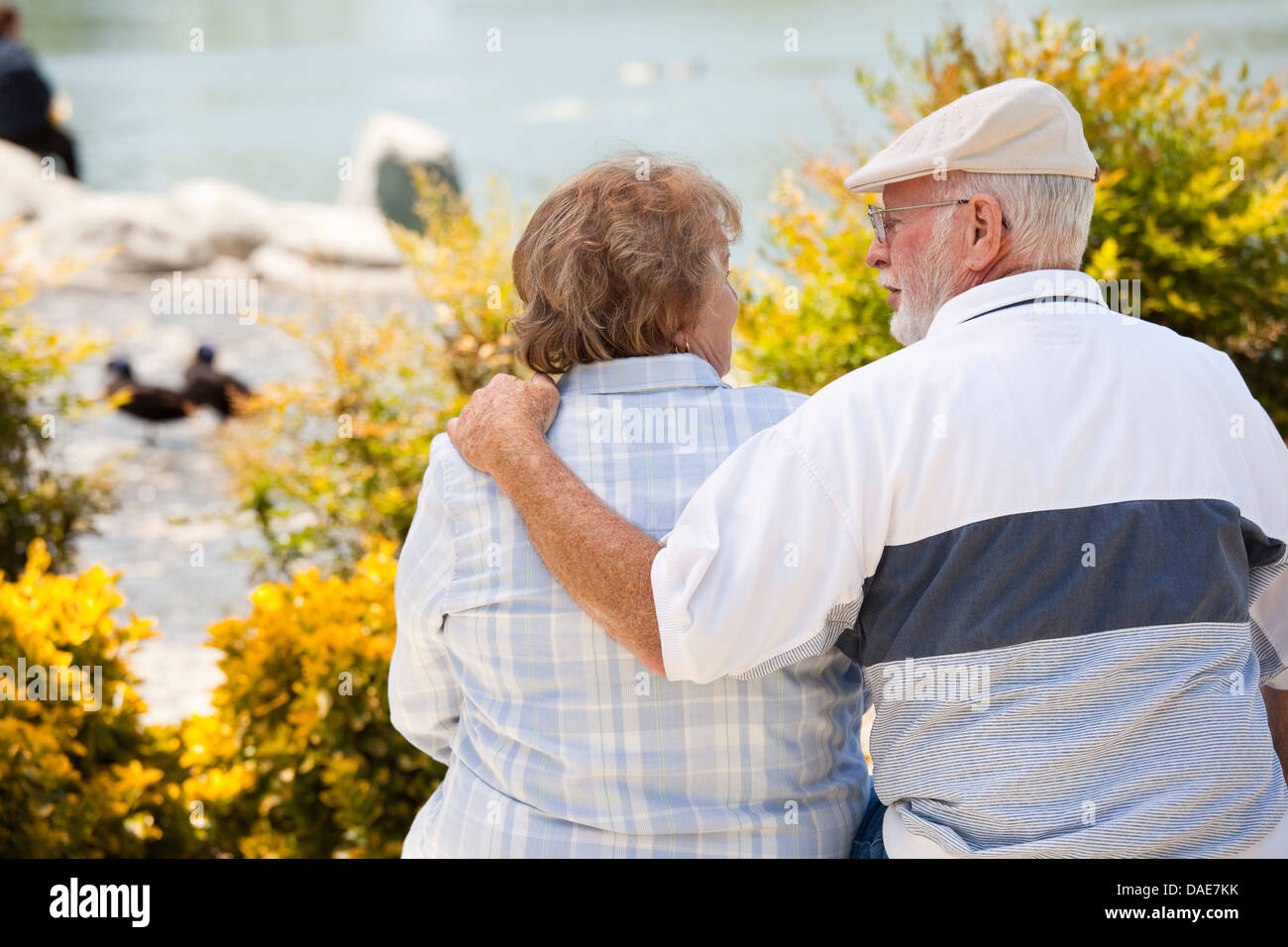 Happy Senior Couple on a Bench Enjoying Each Other in The Park Stock ...