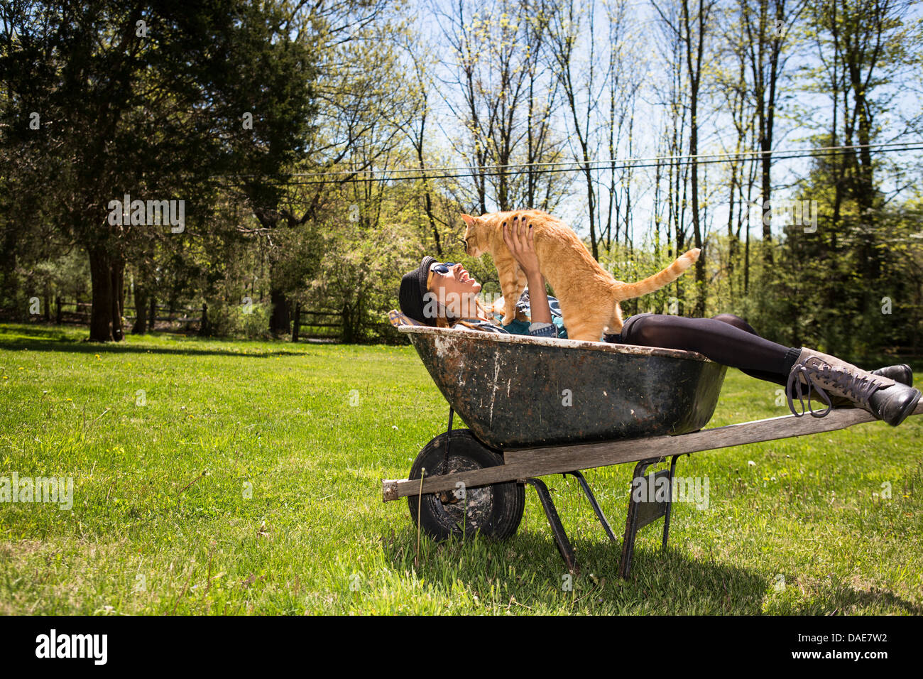 Woman in wheelbarrow holding ginger cat Stock Photo
