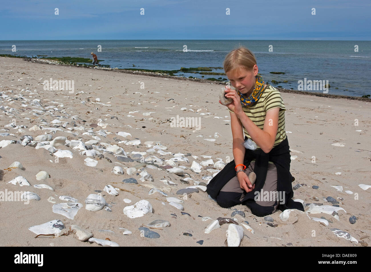 children collecting stones, mussel and snail shells and other stranded