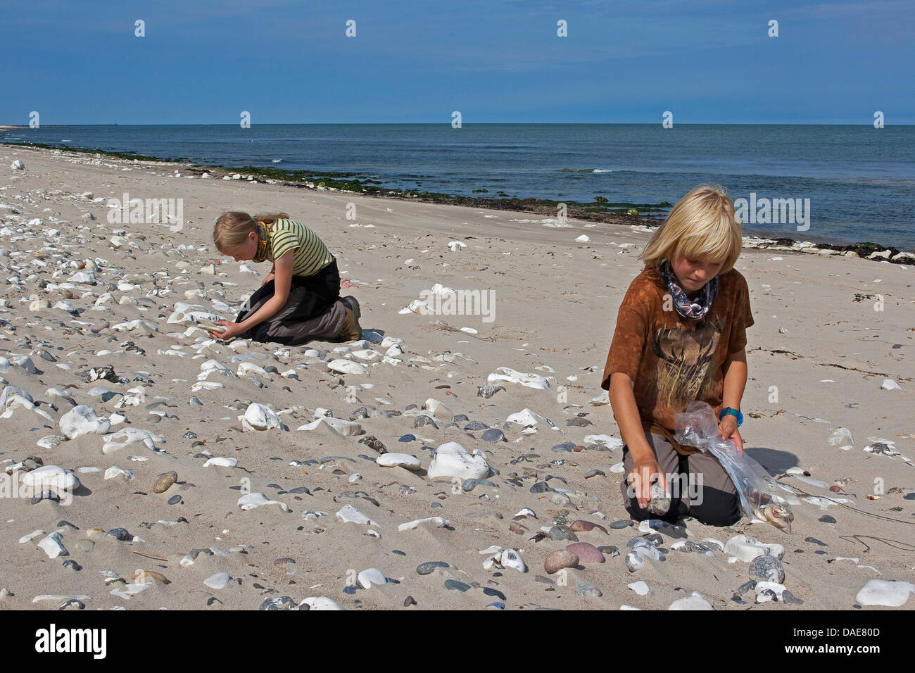 children collecting stones, mussel and snail shells and other stranded