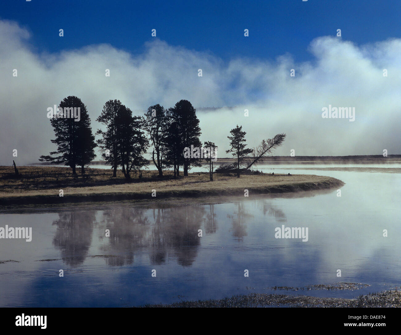 groove on the waterfront in morning mist, USA, Wyoming, Yellowstone National Park Stock Photo