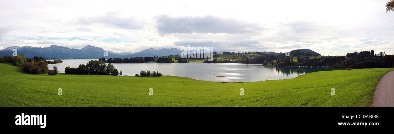 view to Forggensee lake, the Alps in background, Germany, Bavaria, Buching Stock Photo