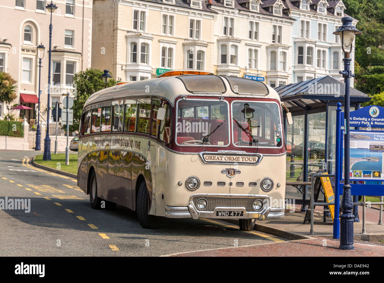 The vintage Great Orme tour bus coach at Llandudno. Clwyd North Wales. Leyland Tiger Cub Stock Photo