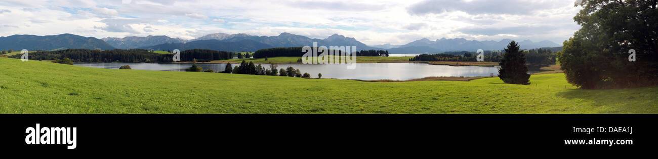 view to lake Illasbergsee , Germany, Bavaria, Buching Stock Photo