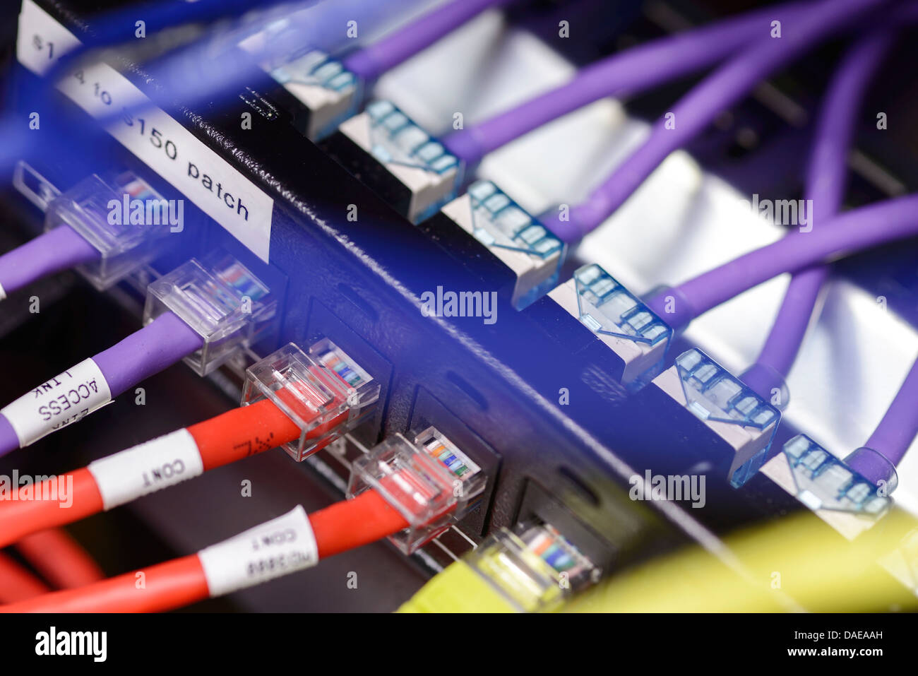 Data network cables close up Stock Photo
