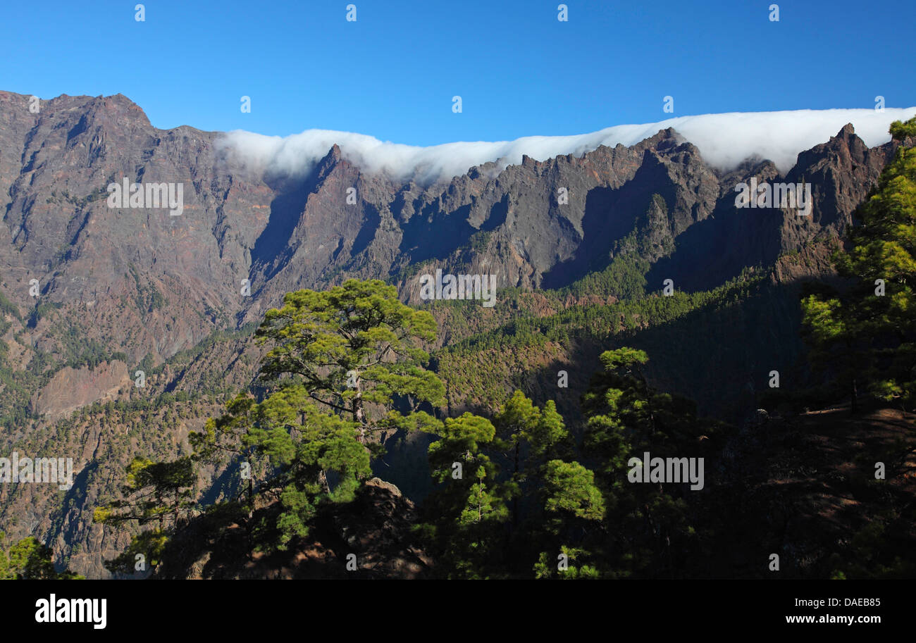 Caldera de taburiente hi-res stock photography and images - Alamy