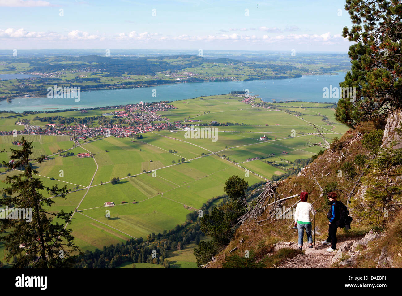 view from Tegelberg to Forggensee and Waltenhofen, Germany, Bavaria, Allgaeu, Schwangau Stock Photo