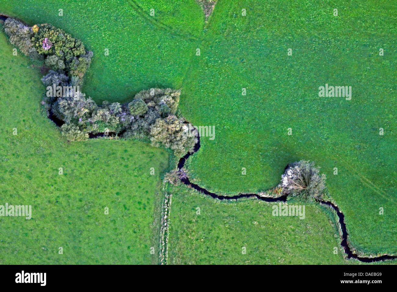 aerial view to meandering creek, Germany, Bavaria, Allgaeu, Steingaden Stock Photo