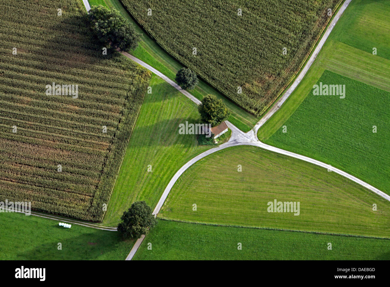 aerial view to rural road junction, Germany, Bavaria, Allgaeu, Steingaden Stock Photo