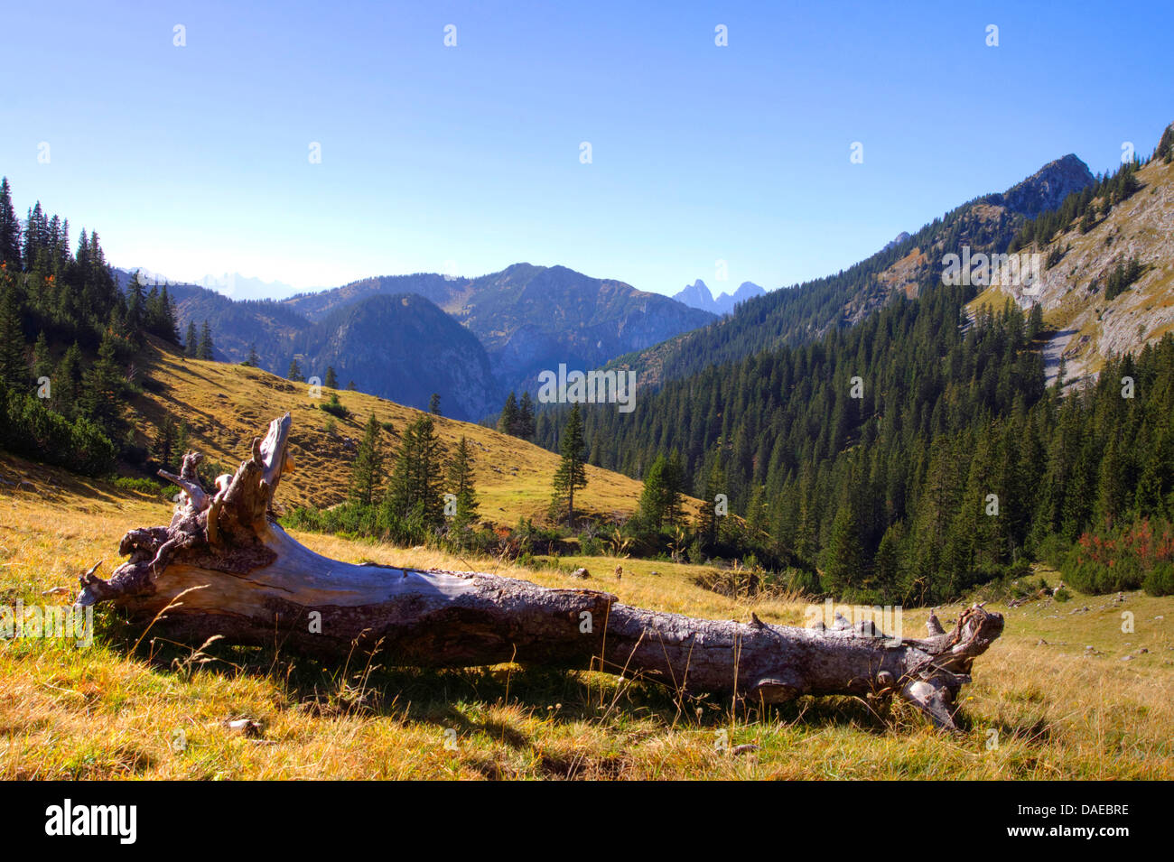 Ammergau Alps, Germany, Bavaria, Oberbayern, Upper Bavaria Stock Photo