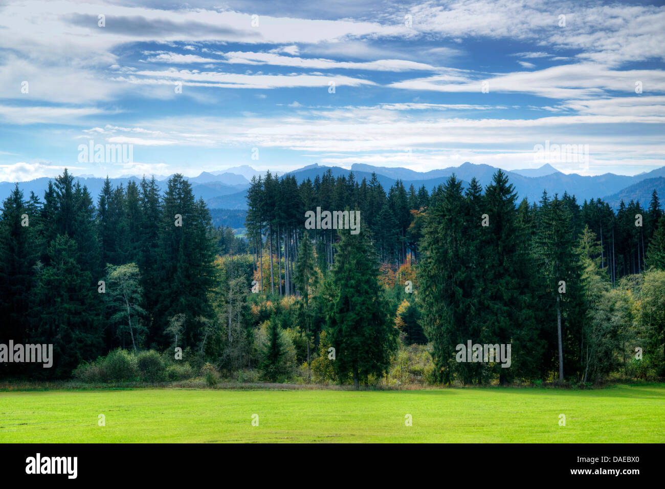 view from Alpine foreland to Ammergau Alps, Germany, Bavaria, Oberbayern, Upper Bavaria Stock Photo