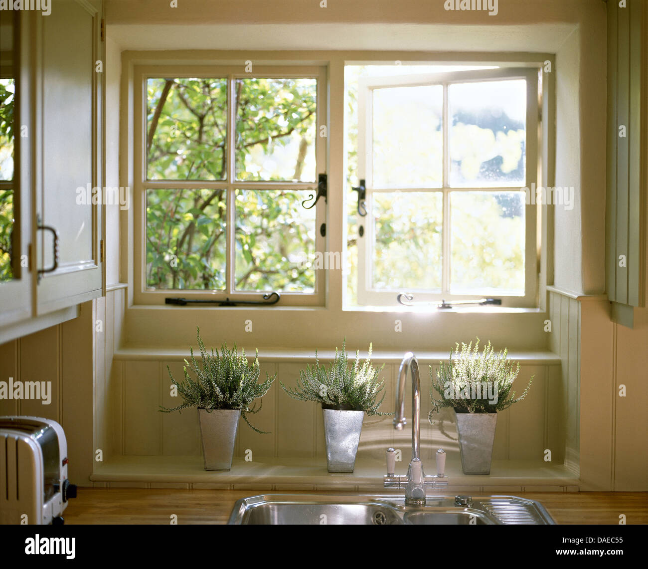 White heather in steel pots below open casement window above kitchen sink Stock Photo