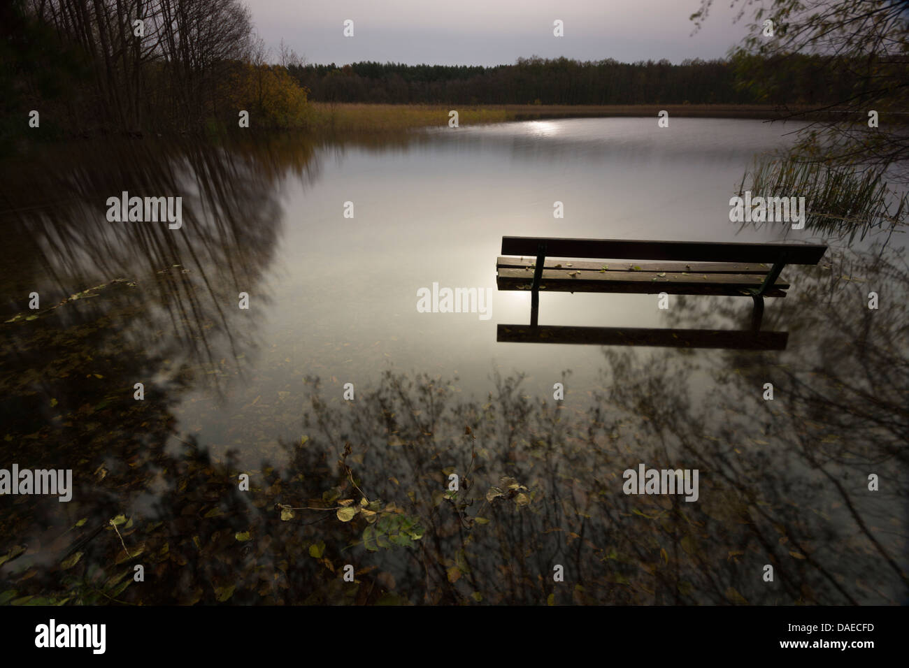 Bench in a lake hi-res stock photography and images - Alamy