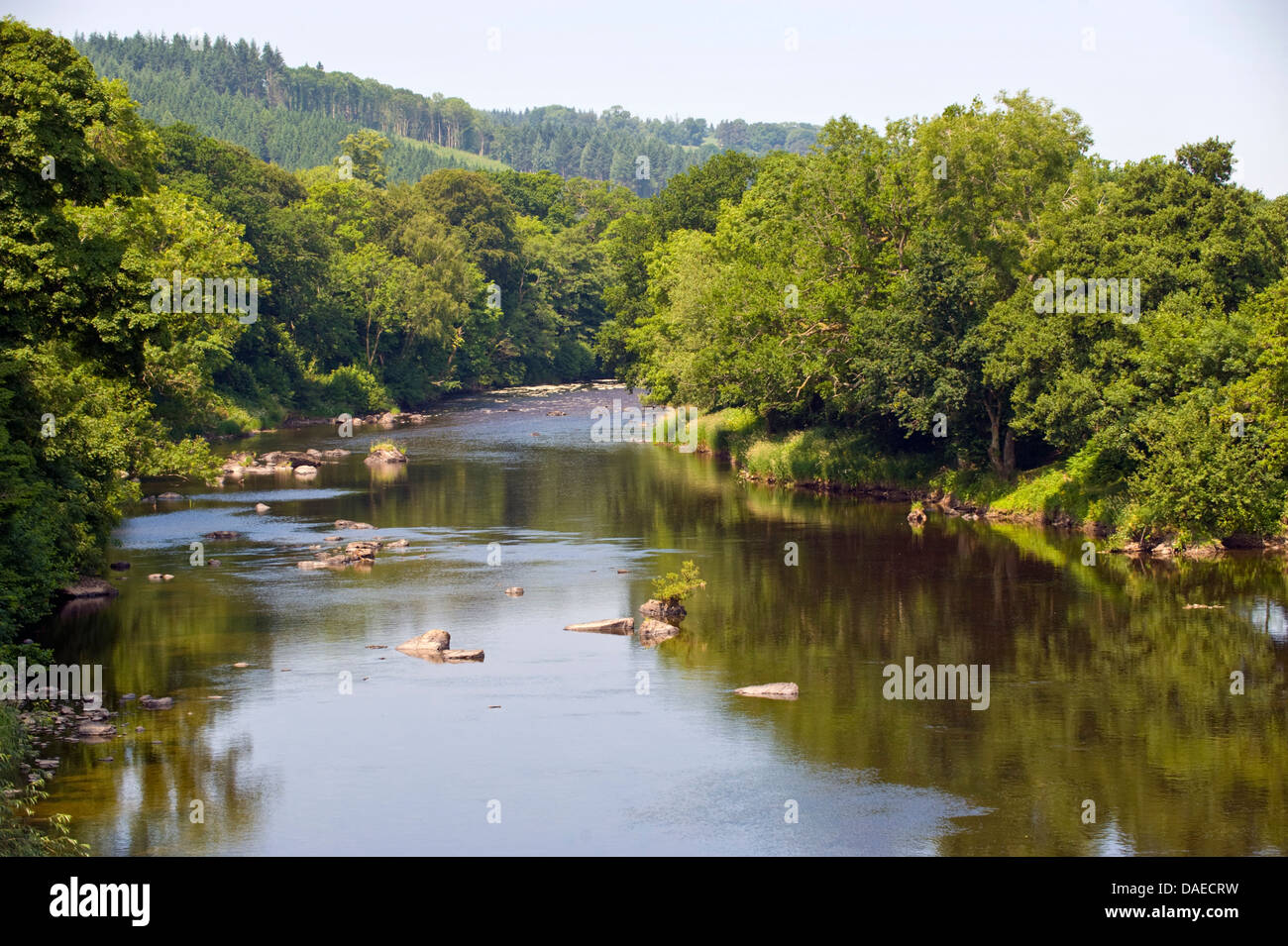 River Wye looking upstream from Boughrood Powys Mid Wales UK Stock Photo