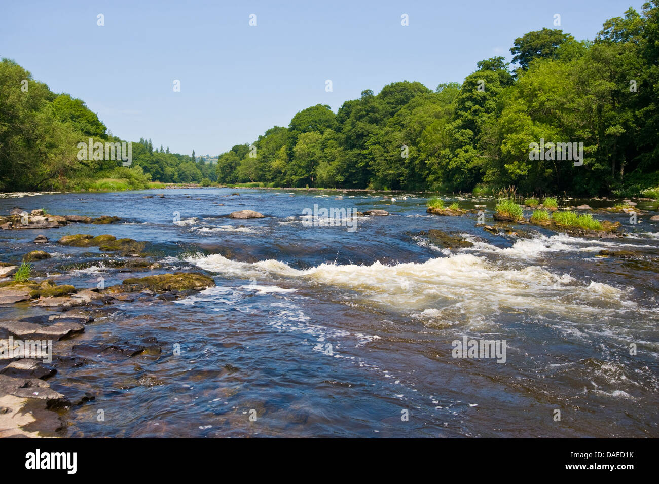 River Wye looking upstream at Llanstephan Powys Mid Wales UK Stock Photo