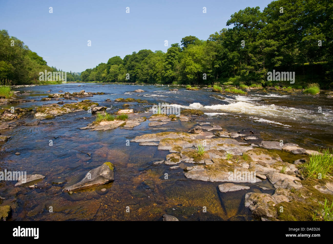 River Wye looking upstream at Llanstephan Powys Mid Wales UK Stock Photo Alamy