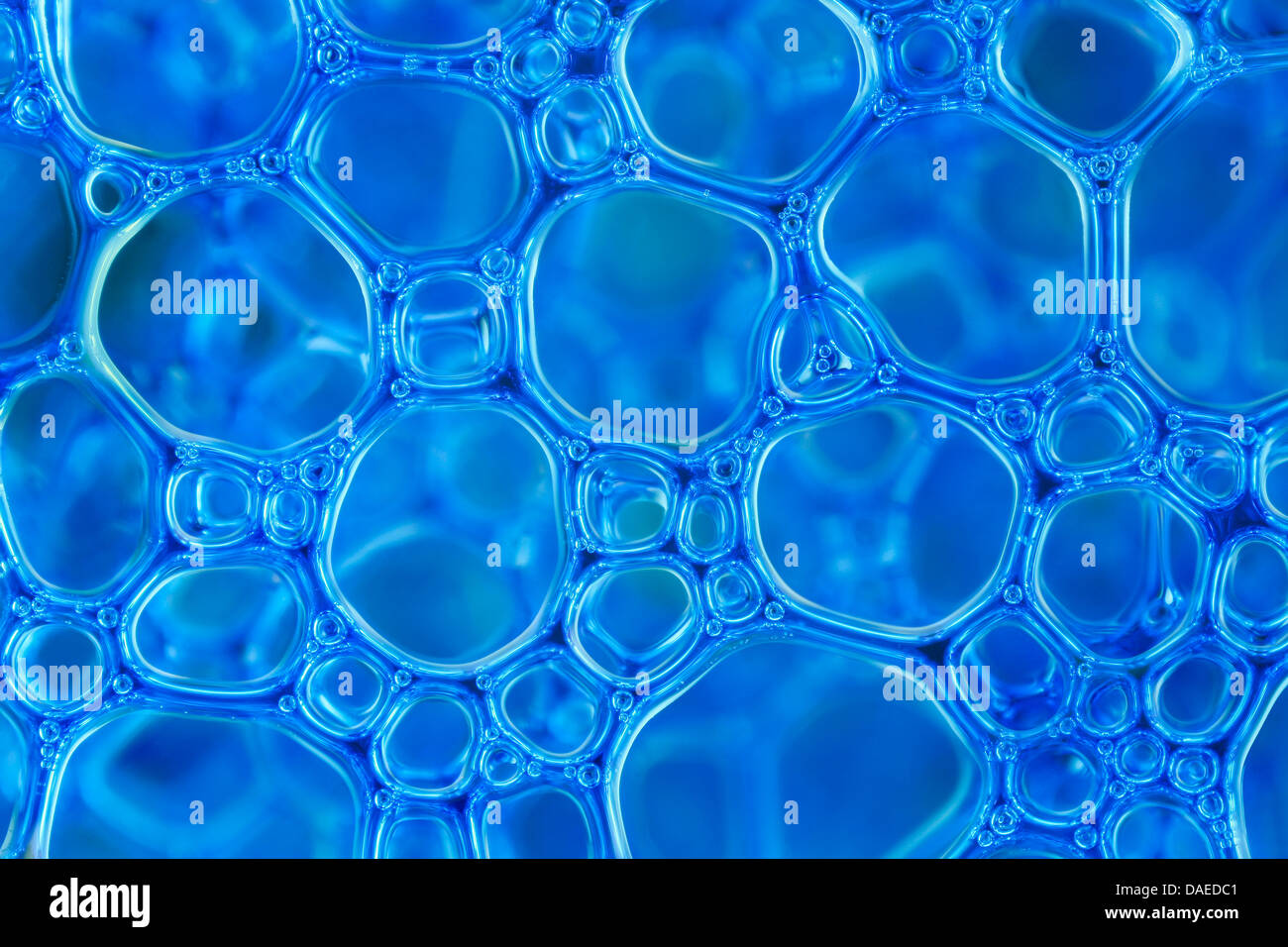 blue foam closeup Stock Photo Alamy