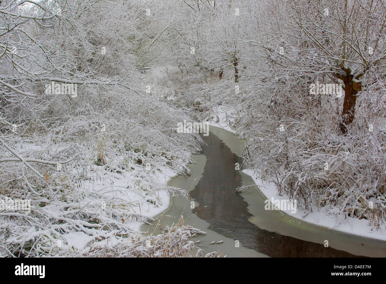 creek in the winter with snow and ice, Germany Stock Photo