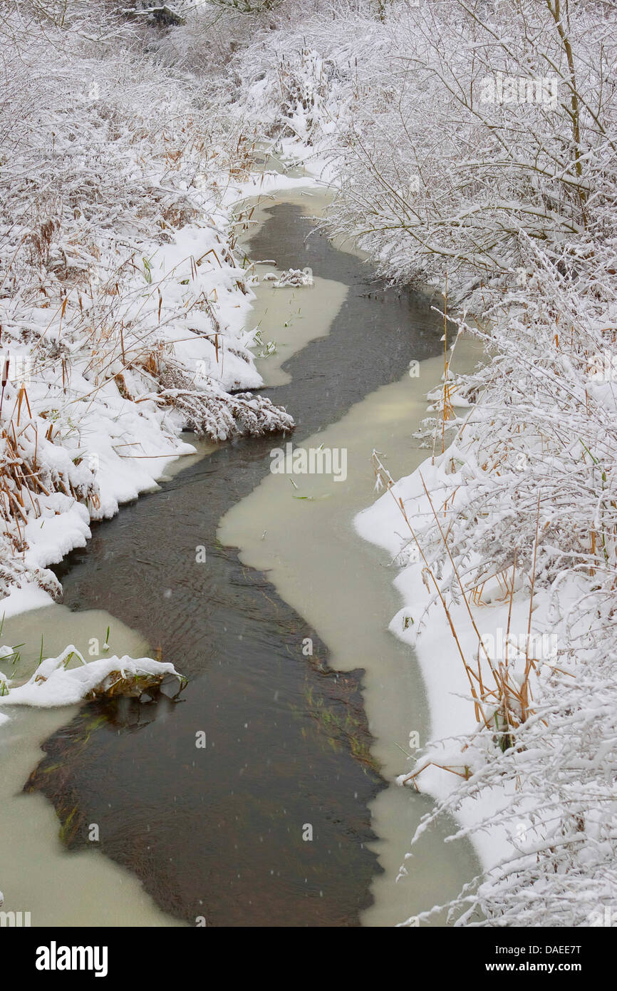 creek in the winter with snow and ice, Germany Stock Photo