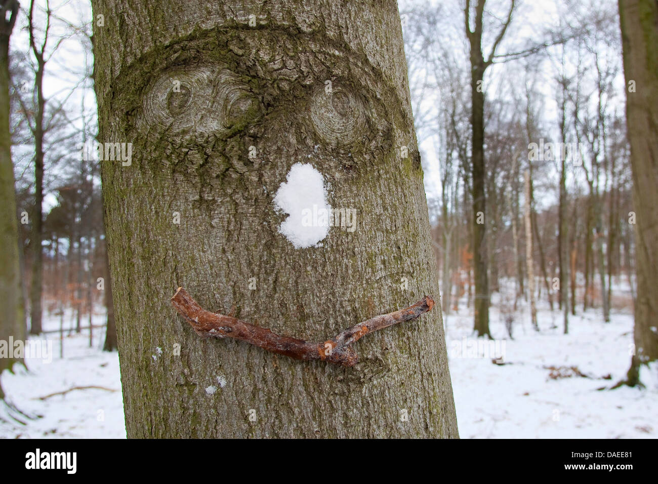 face on a tree trunk with snow as nose and stick as mouth, Germany