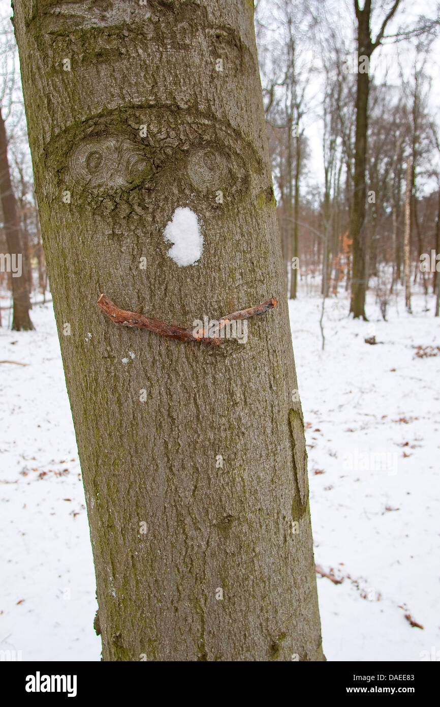 Tree Trunk Eyes Nose Mouth High Resolution Stock Photography and Images Alamy