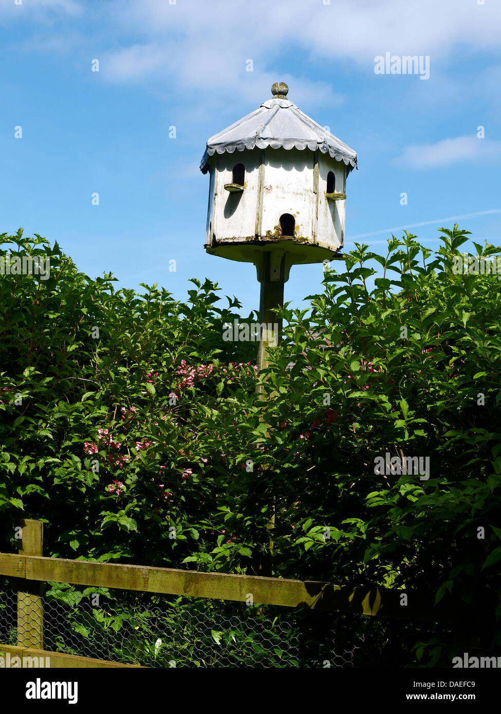 Dovecote in an English garden Stock Photo Alamy