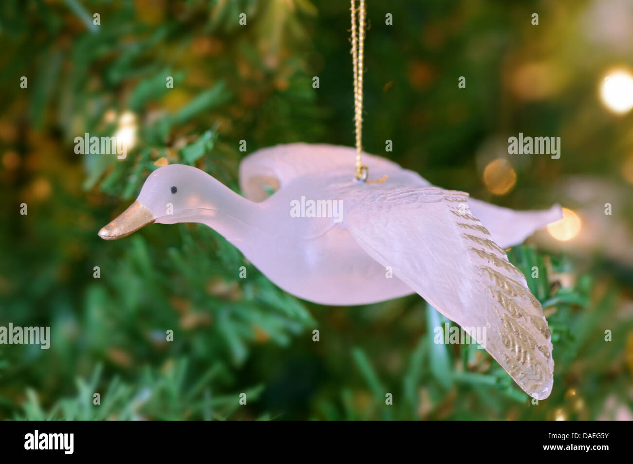Christmas flying goose ornament hanging on tree Stock Photo Alamy