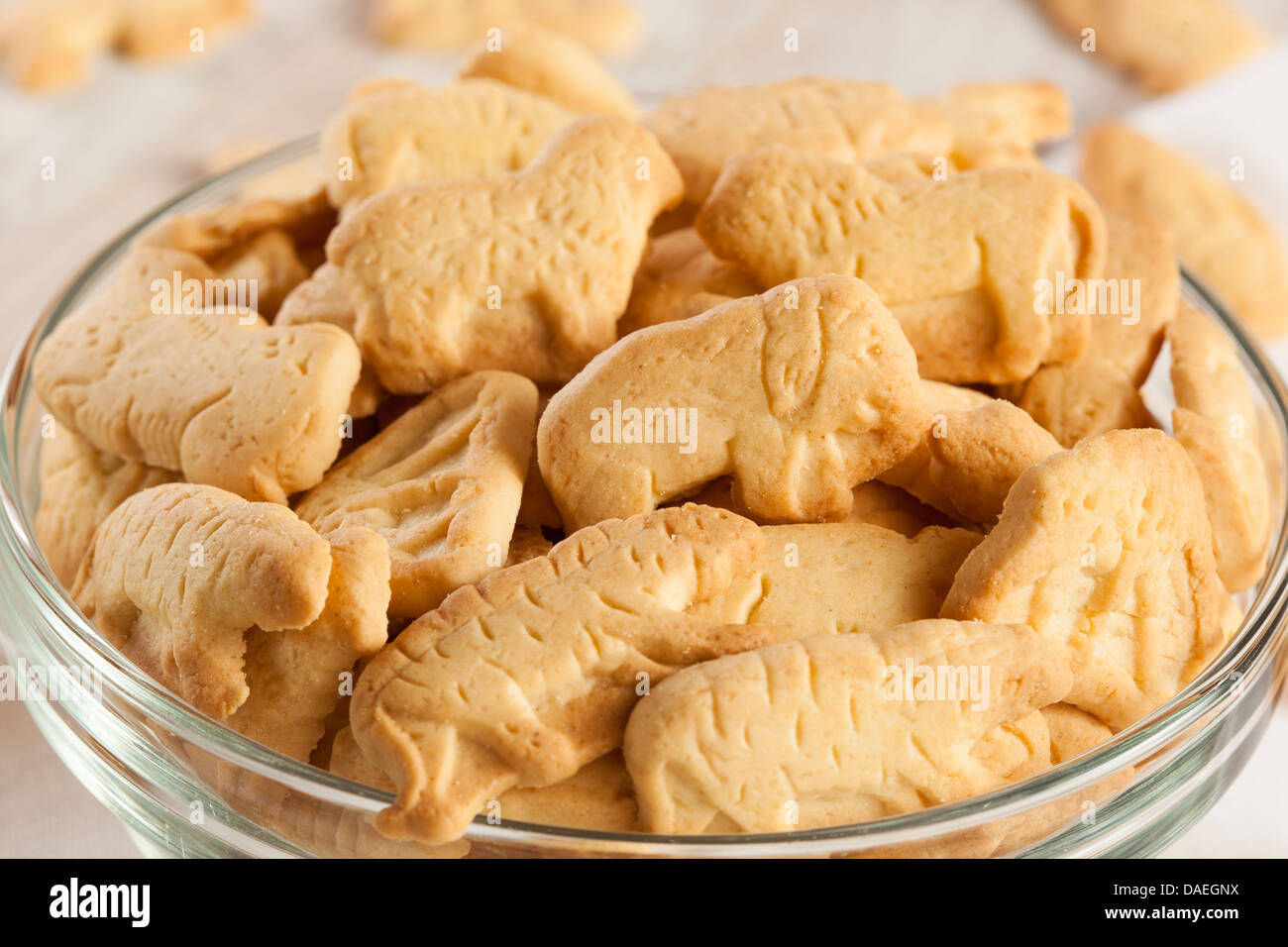 Crunchy Lemon Animal Cracker Cookies on a Background Stock Photo Alamy