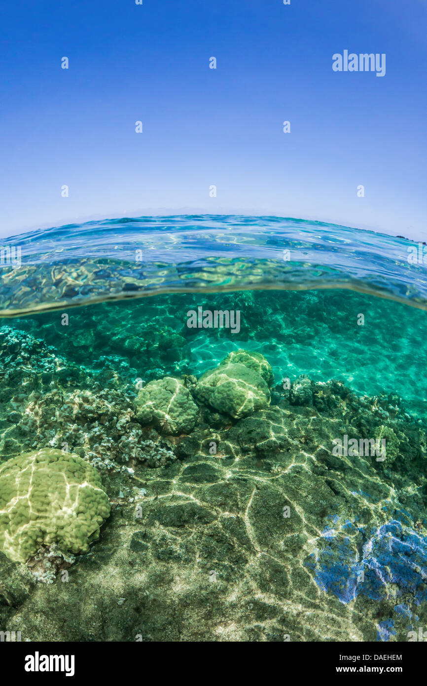 Over-under view of the Kapoho Tide Pools (Wai’opae Tidepools Marine Life Conservation District), near Hilo, Hawaii, USA Stock Photo