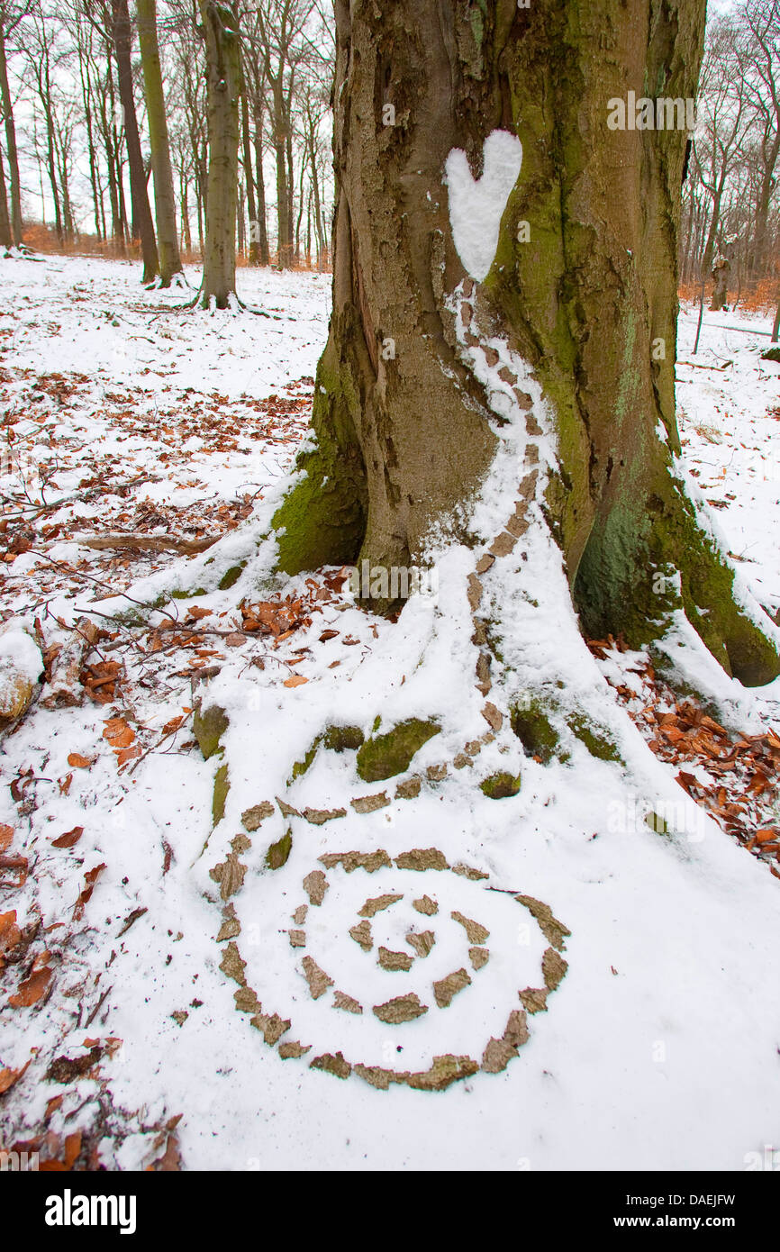 spiral made of bark pieces as nature art in winter, Germany Stock Photo