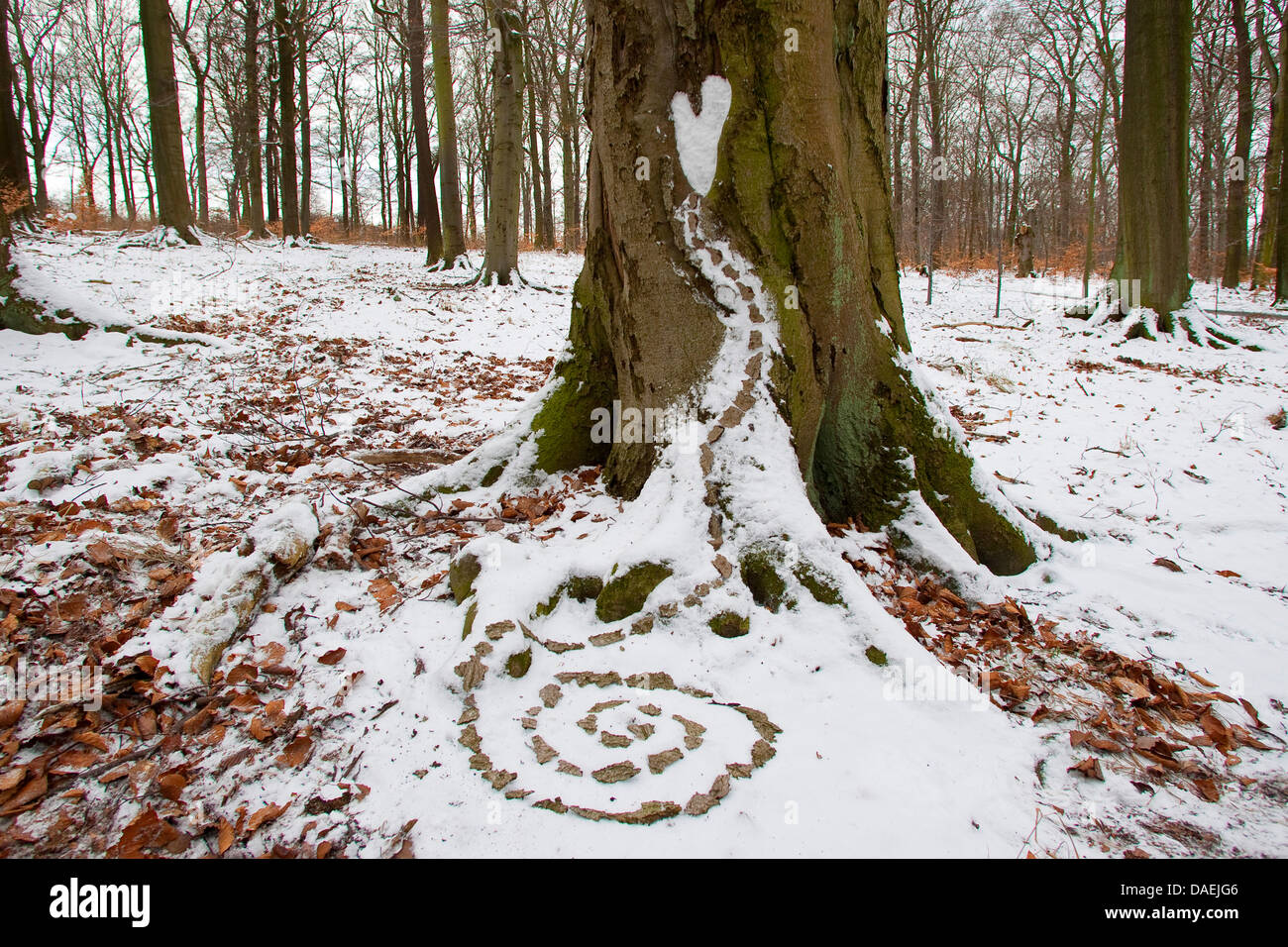 spiral made of bark pieces aa nature art in winter, Germany Stock Photo