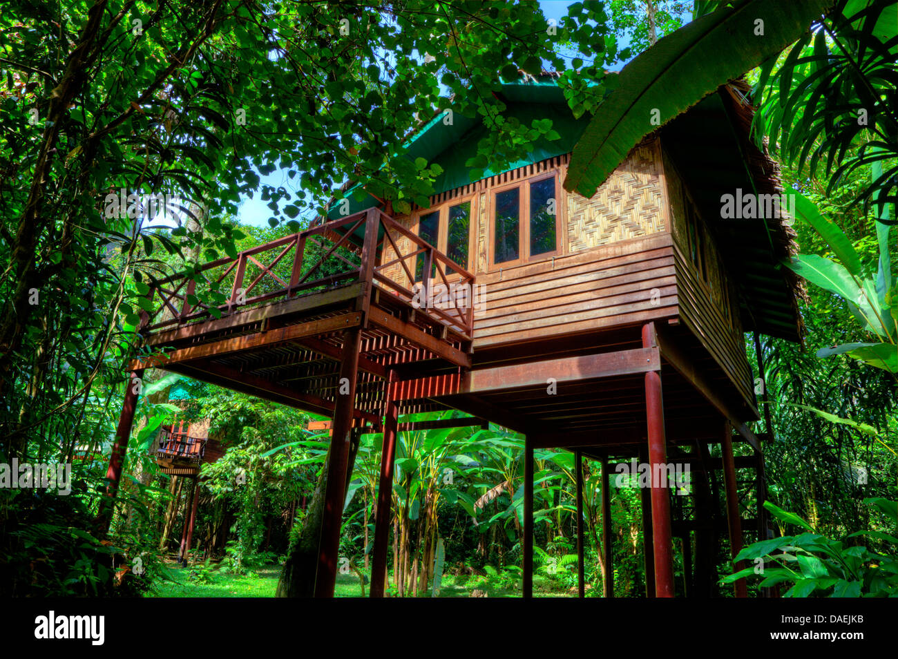 tree house in the rainforest, Thailand, Sura Thani, Khao Sok ...