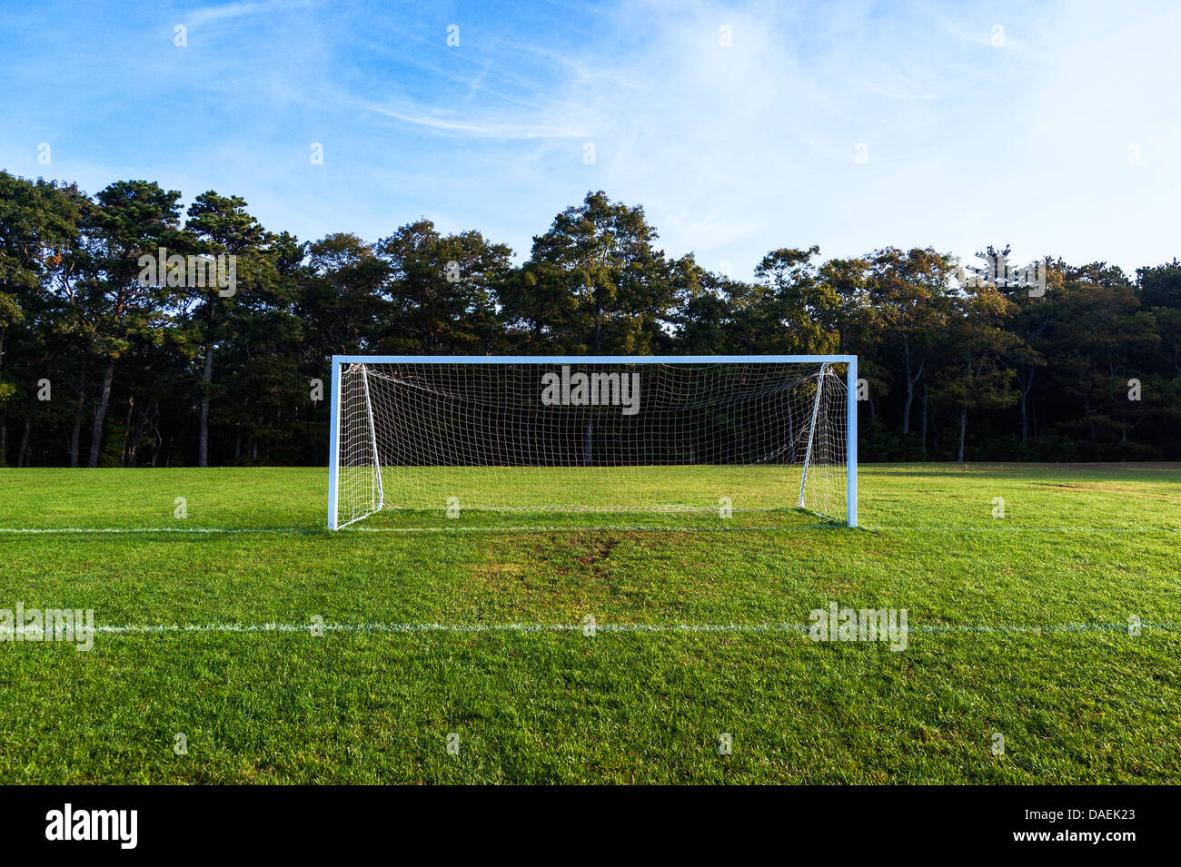 Soccer pitch and goal. Stock Photo