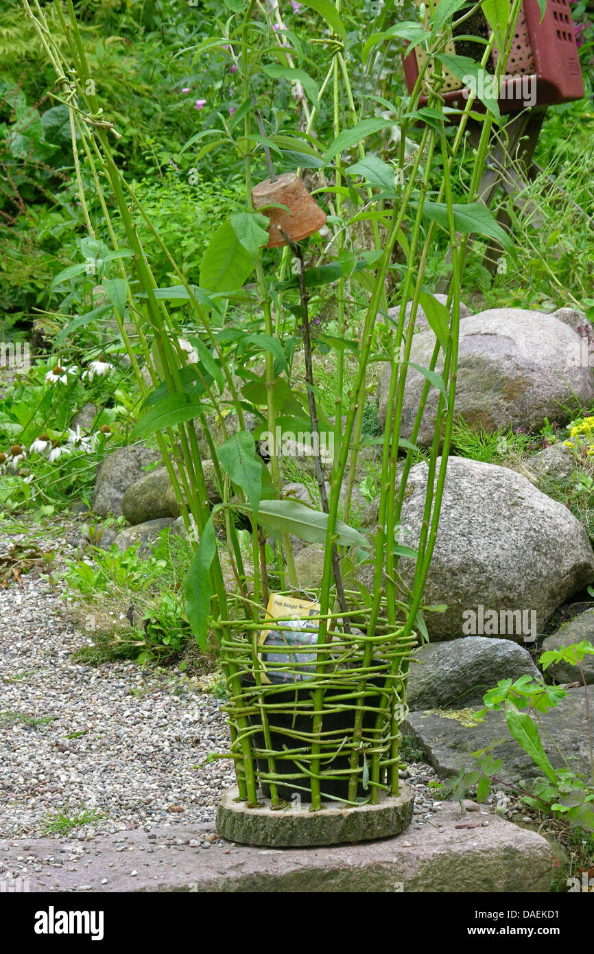 child has made a wickerbasket in the garden, Germany Stock Photo