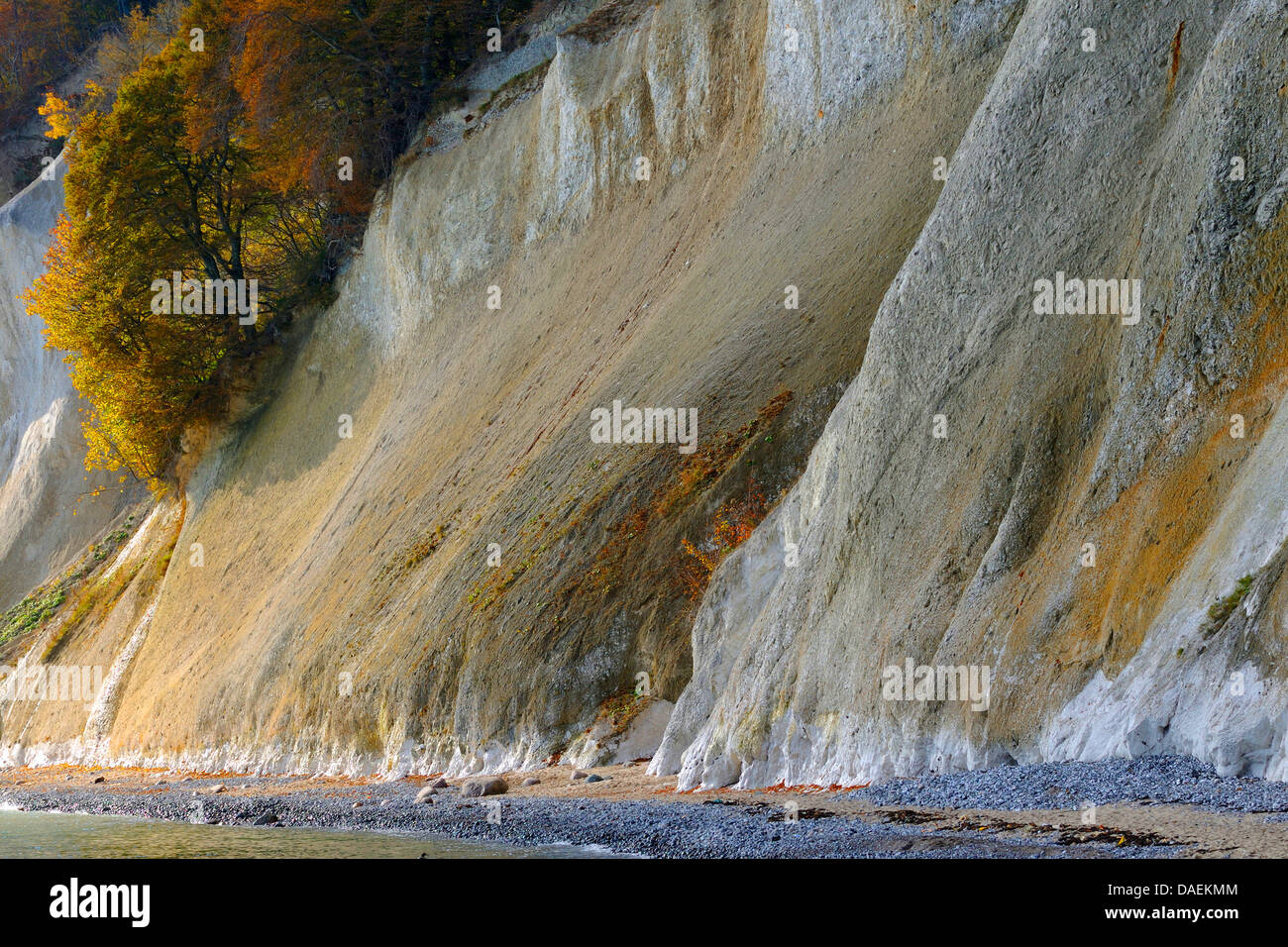 chalk cliffs of Ruegen, Germany, Mecklenburg Vorpommern, NLP Jasmund Stock Photo