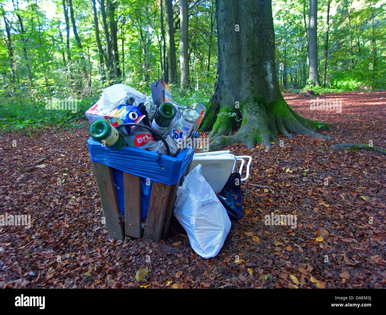 overflowing waste bin in a forest, Germany Stock Photo