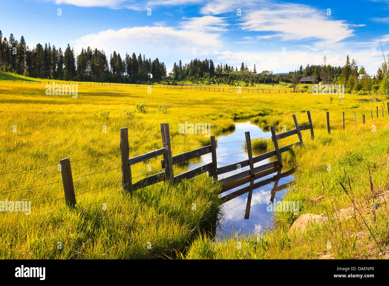 Irrigation ditch in meadow of golden grass on partly cloudy summer day in Lake Fork, Idaho, off Farm to Market Road Stock Photo