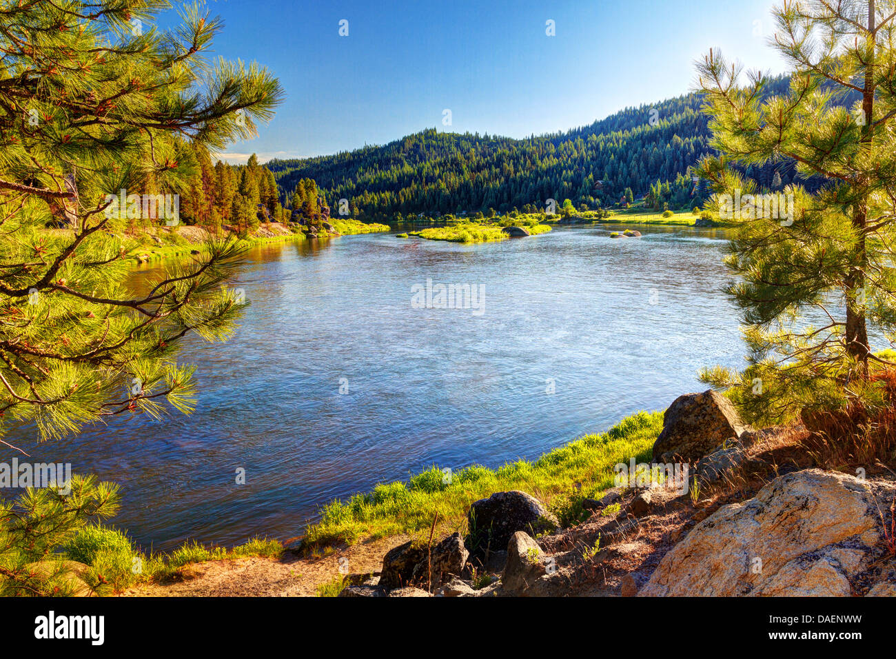 Early evening over placid section of Payette River framed by evergreen