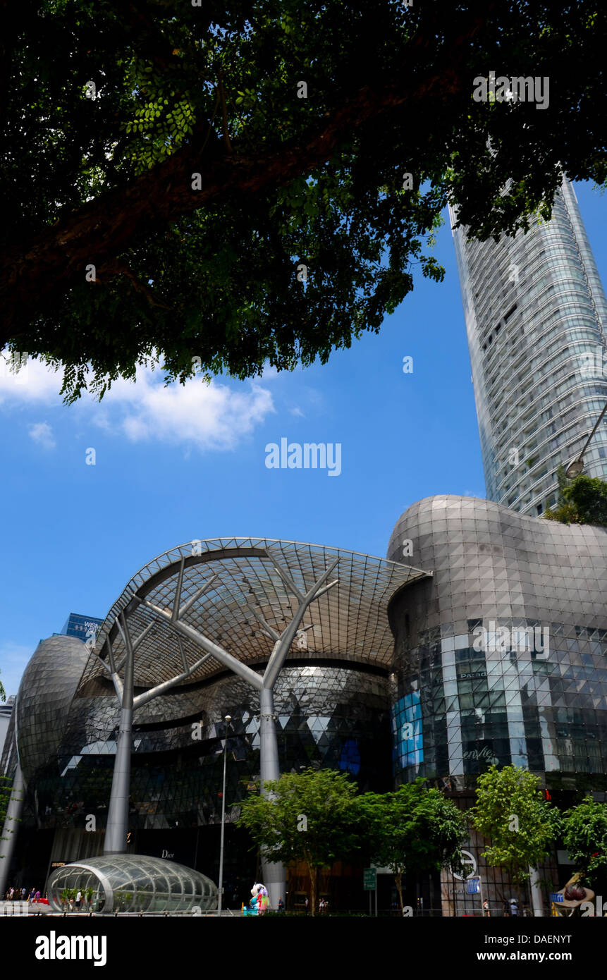 Singapore mall plants hi-res stock photography and images - Alamy