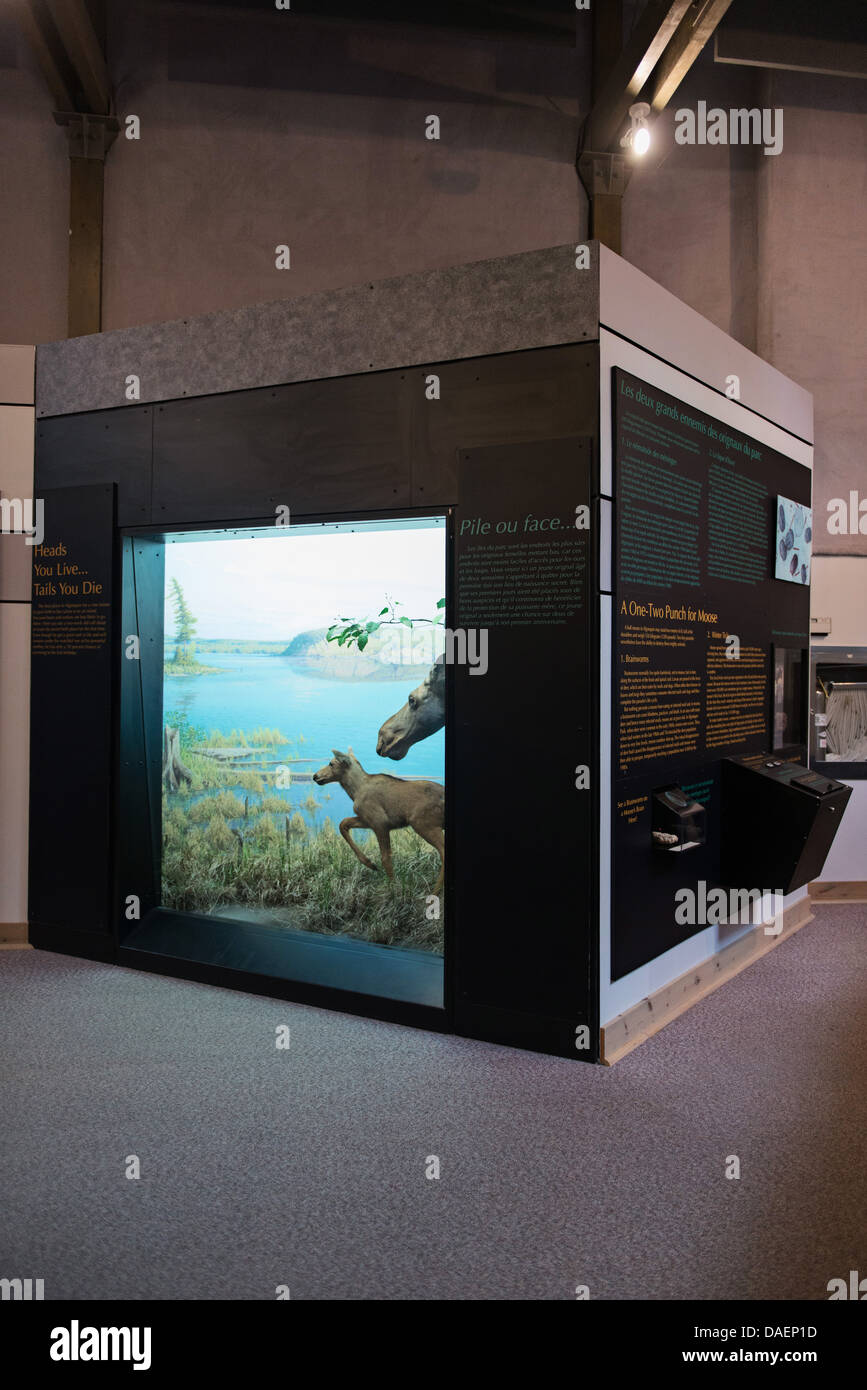 Algonquin Park Interpretation Center Stock Photo Alamy