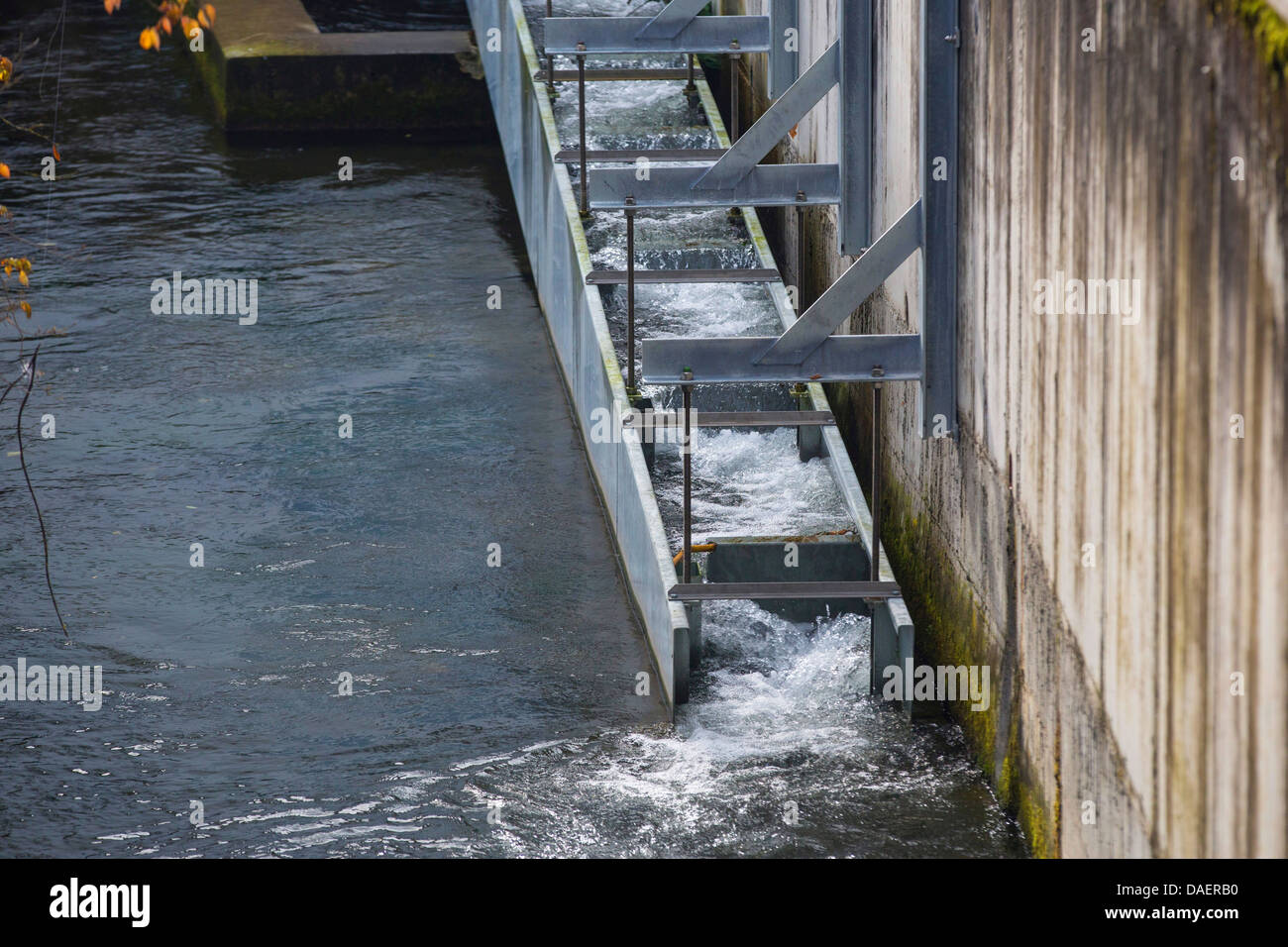 fish step, Germany, Bavaria, Dorfen, Schwaig Stock Photo