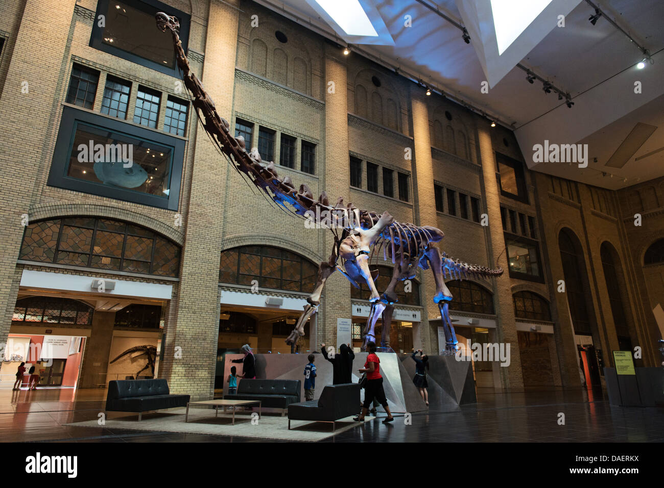 Royal Ontario Museum of world culture and natural history based in Toronto, Ontario Stock Photo