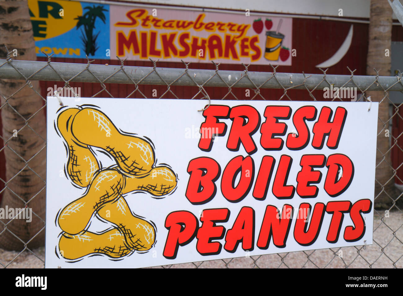 Miami Florida,Florida City,Robert Is Here,produce,market,sale,sign,boiled peanuts,FL130518014 Stock Photo