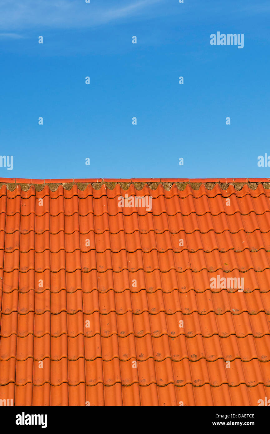 Red Roof tiles against a blue sky. Lindisfarne, Northumberland, England Stock Photo