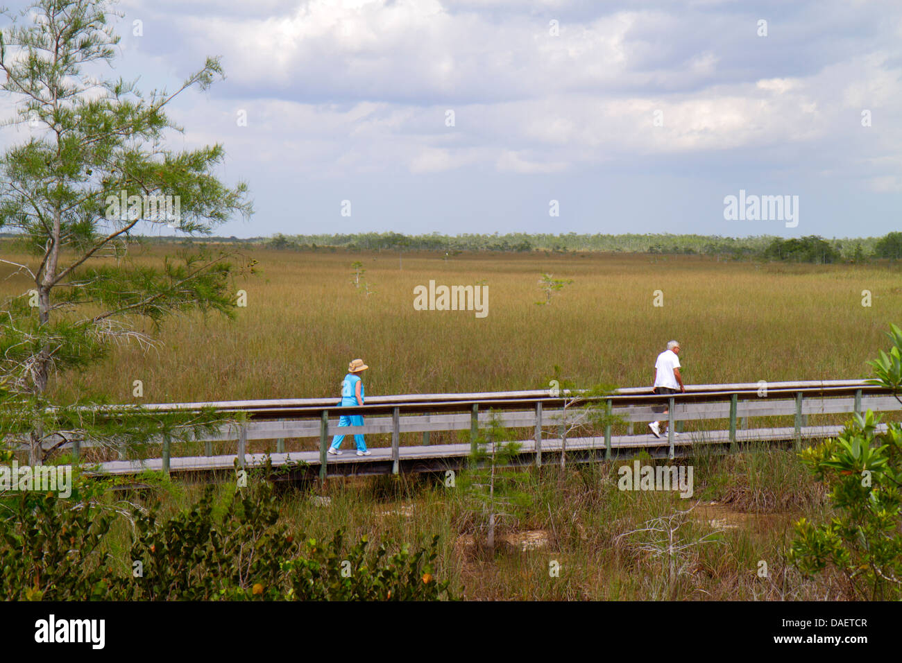 Miami Florida,Florida City,Everglades National Park,Main Park Road,Pa-hay-okee Overlook,freshwater marl prairie,raised nature boardwalk,man men male a Stock Photo