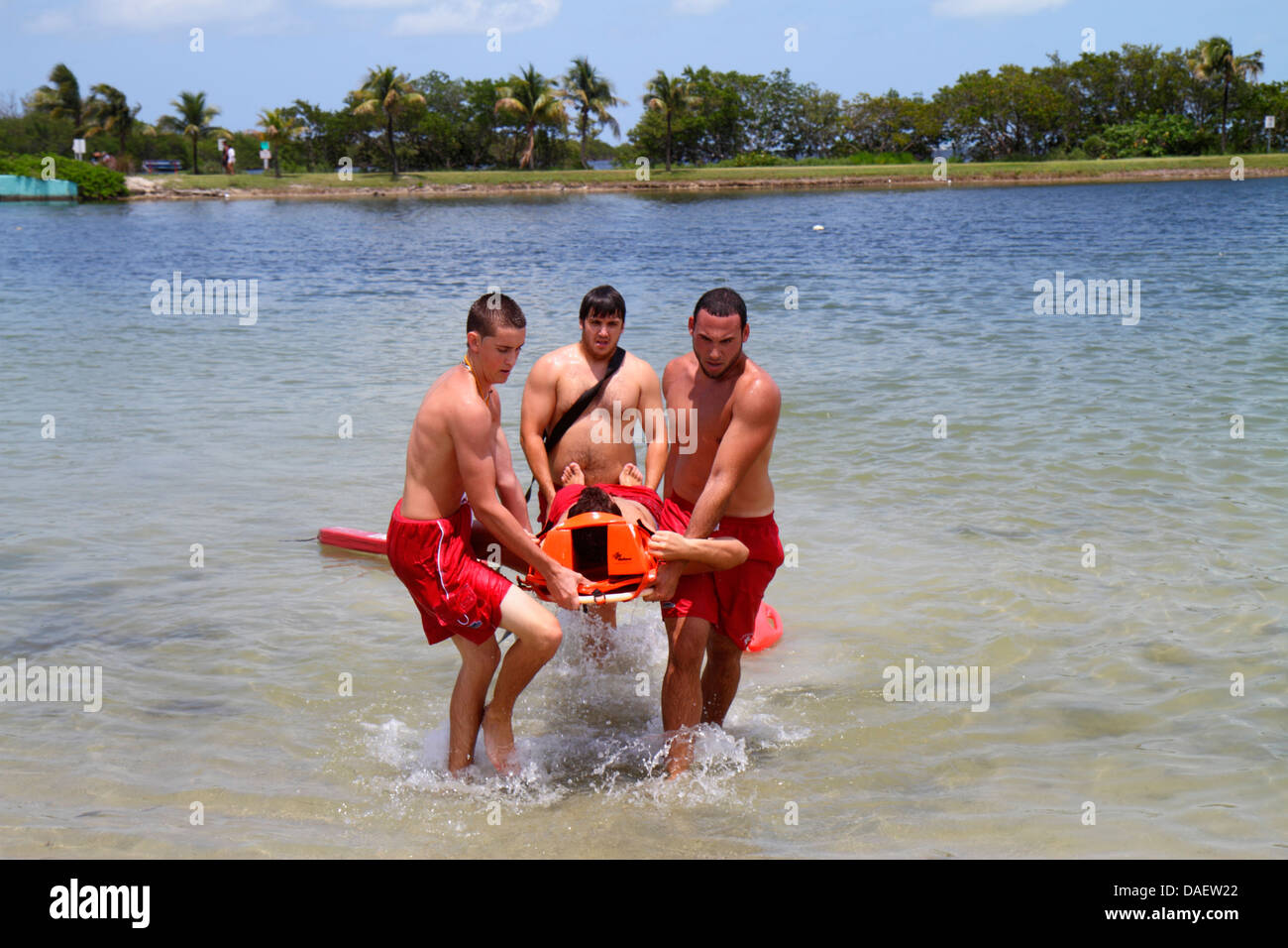 Miami Florida,Homestead,Homestead Bayfront Park,Biscayne Bay,lifeguards,lifeguard training,rescue,man men male adult adults,FL130518144 Stock Photo